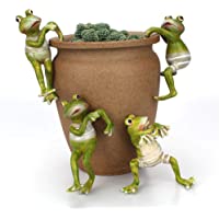 Warooma 4 piezas de dibujos animados para escalar ranas- maceta de animales colgadores decorativos de rana para…